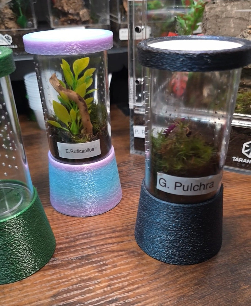 Vial enclosure with stand