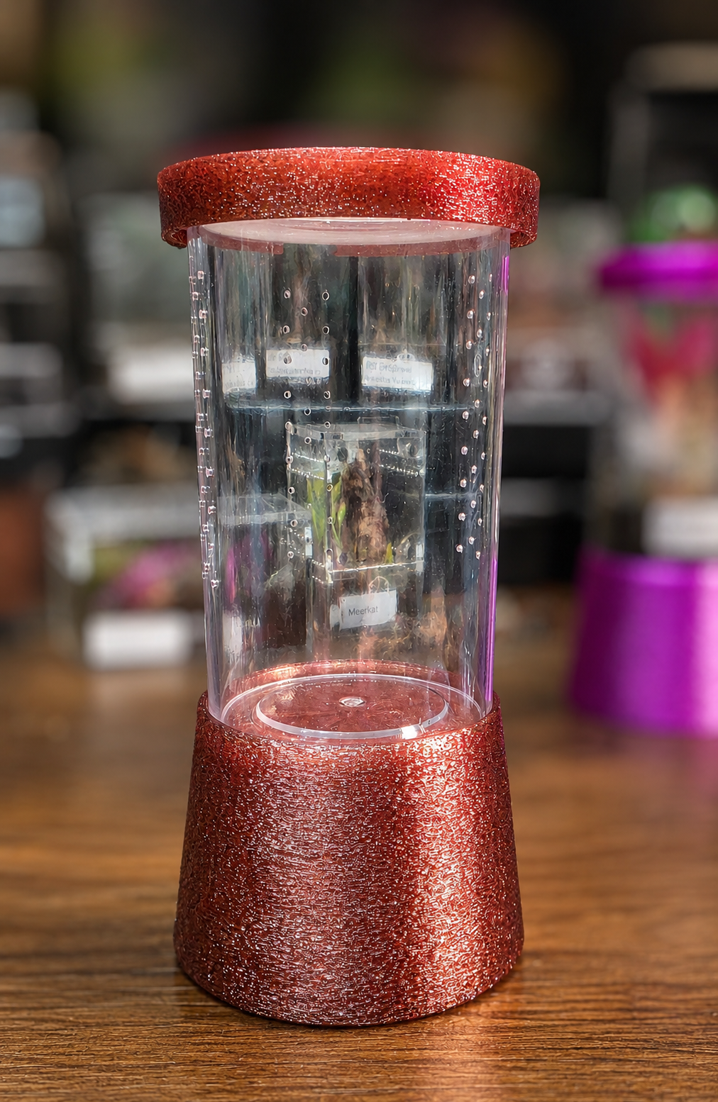 Vial enclosure with stand
