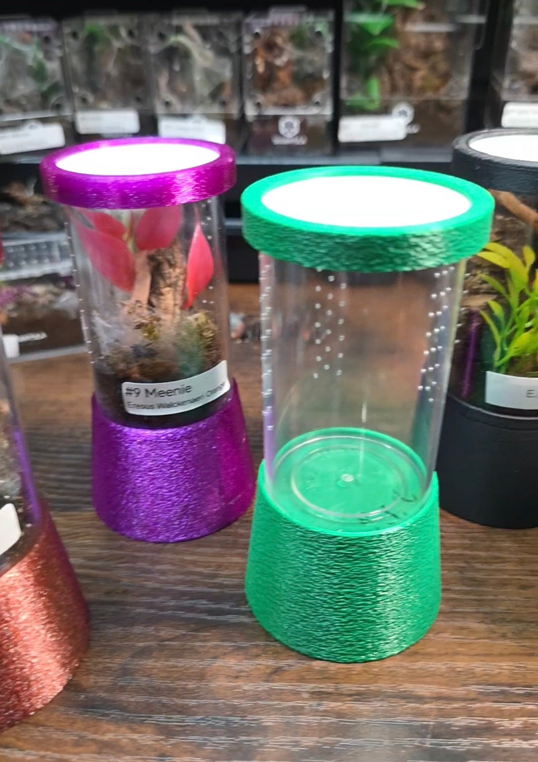 Vial enclosure with stand